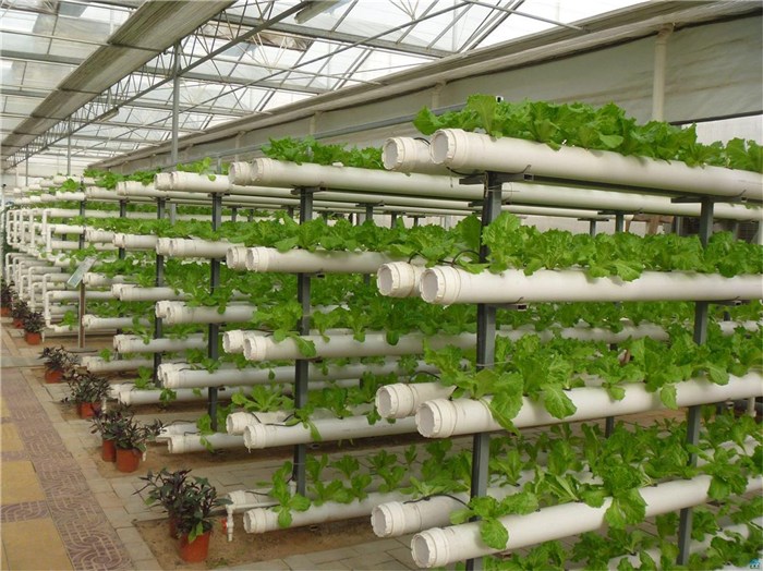 抚顺市苗床种植槽 - 方案