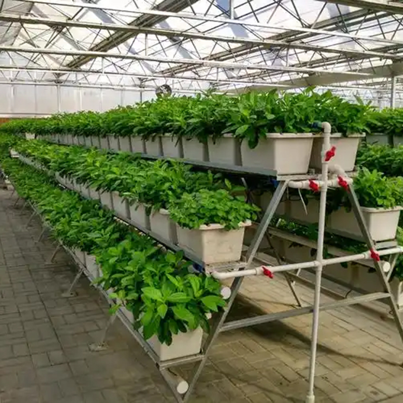 抚顺市植物工厂水培 - 价格