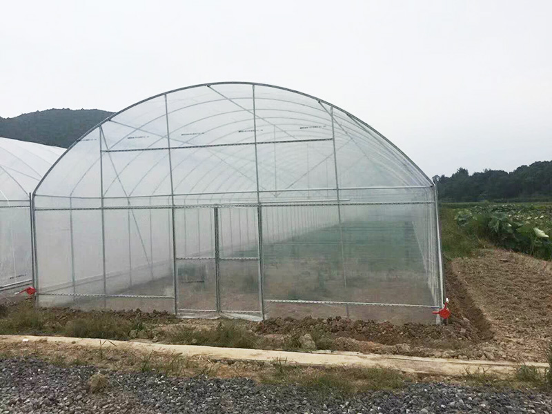 抚顺市薄膜大棚空中草莓 - 推荐
