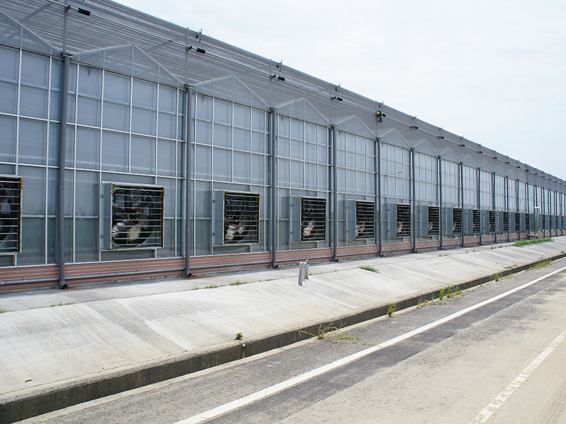 抚顺市玻璃大棚温室大棚 - 价格
